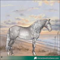 Horse Color:Gray Platinum White Spotted Silver Buckskin Pearl 