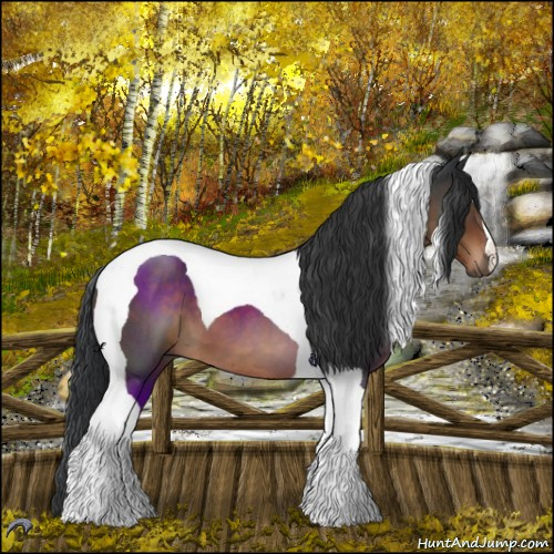 Horse Color:Brown Roan Tobiano 