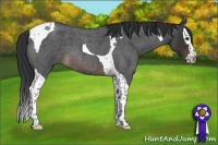 Horse Color:Brown Roan Splash Tobiano