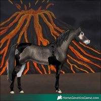 Horse Color:Void Blue Onyx Roan Tobiano 