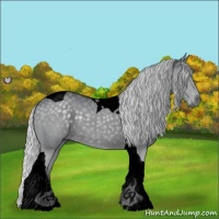 Horse Color:Void Silver Grullo Chinchilla Tobiano