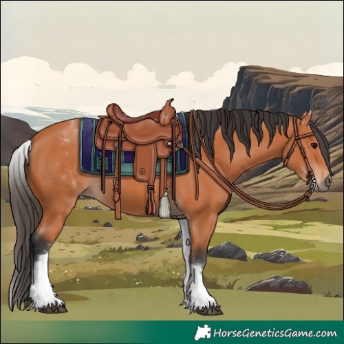 Horse Color:White Spotted Bay