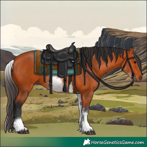 Horse Color:White Spotted Bay 