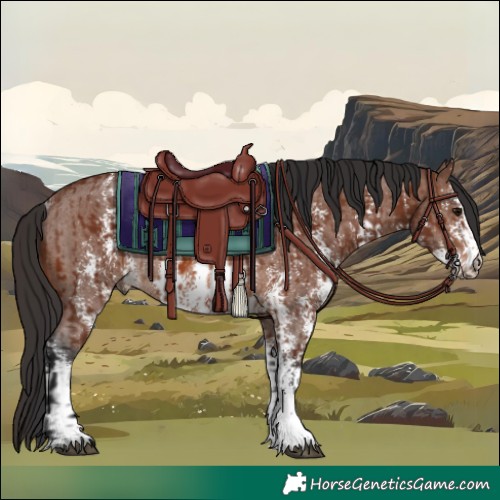 Horse Color:Brown Sabino Rabicano  and Brown Sabino Rabicano 