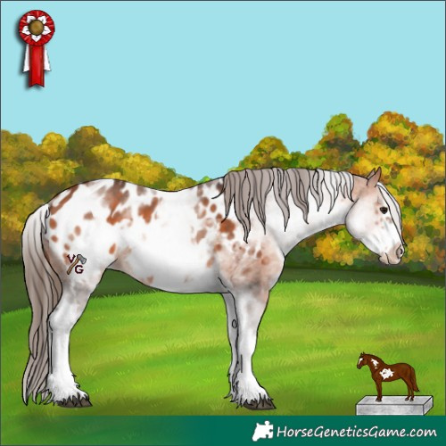 Horse Color:White Spotted Bay Frame Appaloosa 