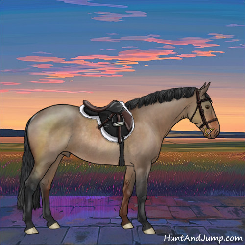 Horse Color:Brown Roan Dun Rabicano