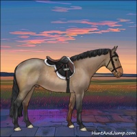 Horse Color:Brown Roan Dun Rabicano