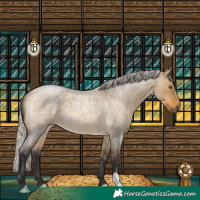 Horse Color:Silver Buckskin Roan Dun Rabicano 