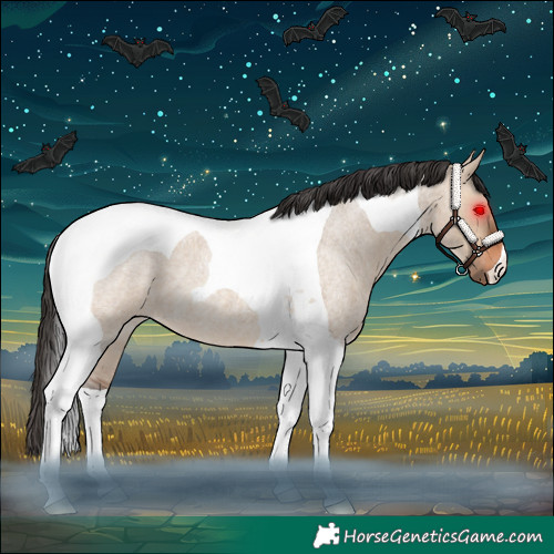 Horse Color:Brown Roan Dun Tobiano 