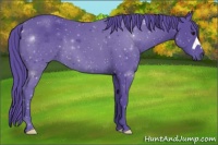 Horse Color:Watercolor Smoky Black 