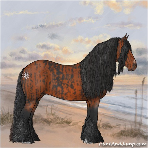 Horse Color:Brown Sabino Rabicano and Bay Sabino Rabicano