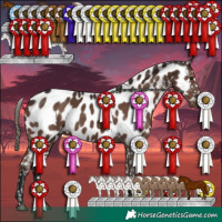 Horse Color:Liver Chestnut Mushroom Appaloosa 