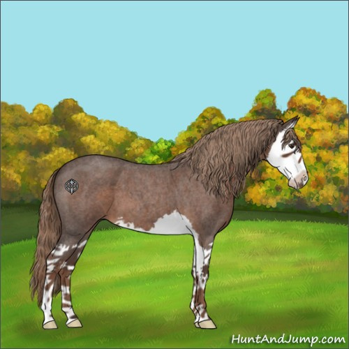 Horse Color:Liver Red Roan Splash 