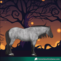 Horse Color:Smoky Blue Roan 