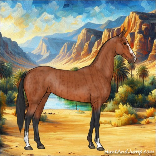 Horse Color:Bay Sabino Rabicano  and Bay Sabino Rabicano 