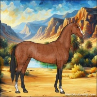 Horse Color:Bay Sabino Rabicano  and Bay Sabino Rabicano 