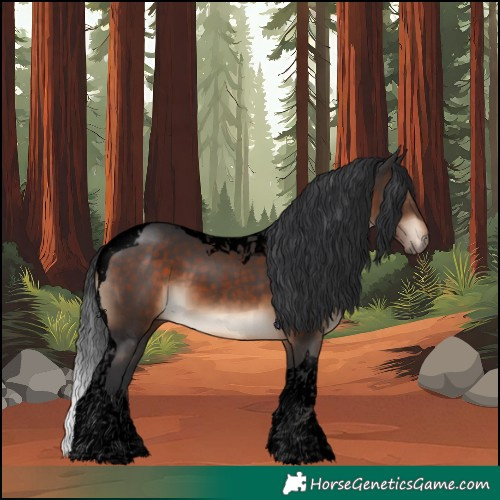 Horse Color:Void Brown Tobiano