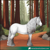 Horse Color:Gray Platinum Chocolate Brown Roan Dun 