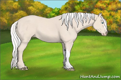 Horse Color:Silver Smoky Creme 