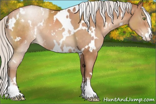 Horse Color:White Spotted Silver Brown Pearl Sabino