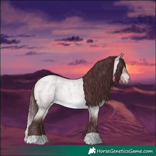 Horse Color:Platinum Chocolate Brown Roan Dun 