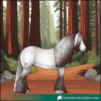 Horse Color:Gray Platinum Chocolate Bay Roan Dun