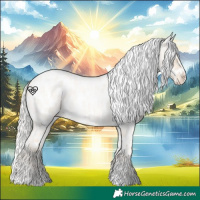 Horse Color:Cremello Roan Near Leopard 