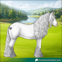 Horse Color:Cremello Near Leopard 