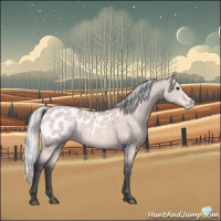 Horse Color:Platinum Silver Buckskin Appaloosa 
