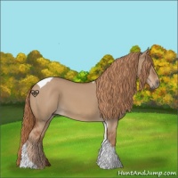 Horse Color:Red Dun Tobiano 