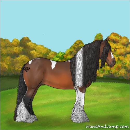 Horse Color:Bay Tobiano 