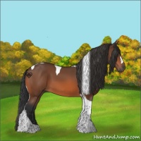 Horse Color:Bay Tobiano 