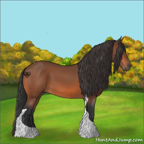 Horse Color:Bay Tobiano 