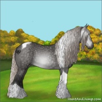 Horse Color:Gray Silver Black Tobiano 