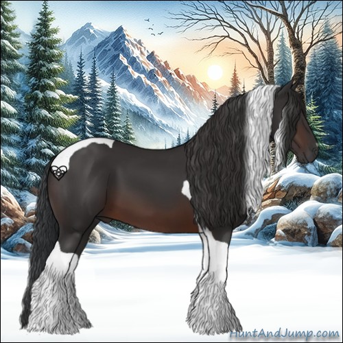 Horse Color:Brown Tobiano