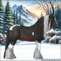Horse Color:Brown Tobiano 
