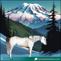 Horse Color:Gray Bay Dun Sabino