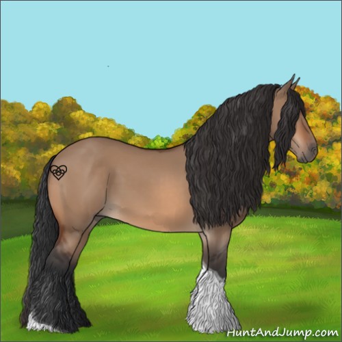 Horse Color:Brown Dun Tobiano 