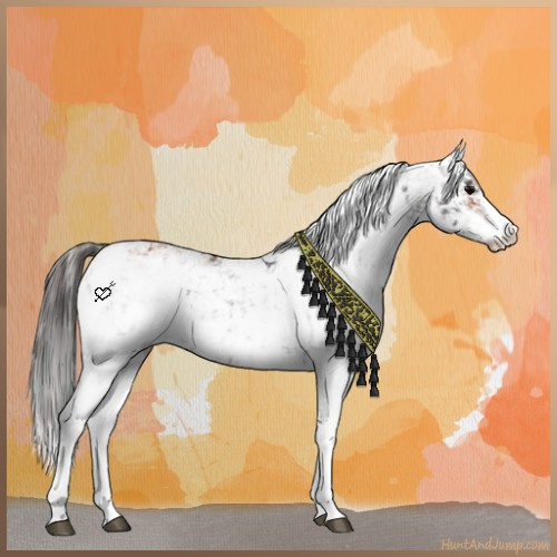 Horse Color:Brown Sabino Rabicano and Brown Sabino Rabicano