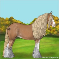 Horse Color:Chestnut Sabino 