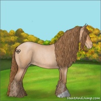 Horse Color:Bay Roan Pearl 