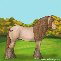 Horse Color:Bay Roan Pearl 