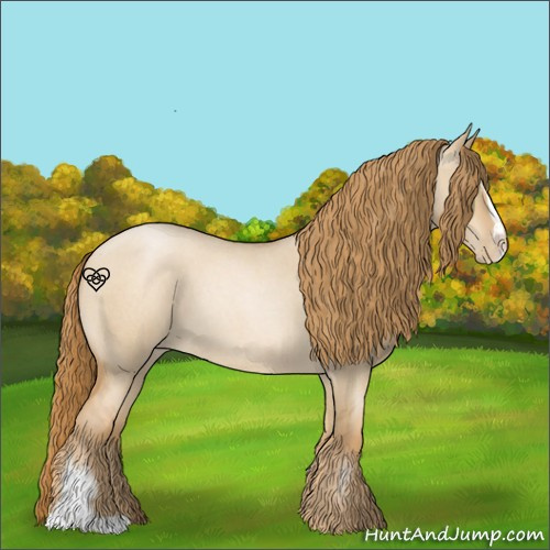 Horse Color:Red Dun Roan Pearl Sabino 