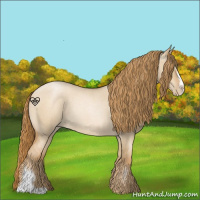 Horse Color:Red Dun Roan Pearl Sabino