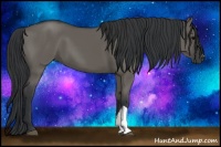 Horse Color:Grullo 