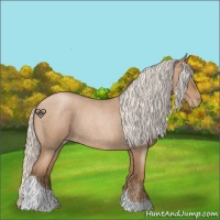 Horse Color:Silver Blue Roan Pearl Tobiano 