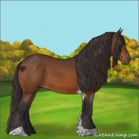 Horse Color:Buckskin Tobiano 