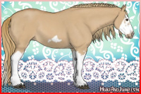 Horse Color:Red Dun Roan Splash Frame Rabicano 