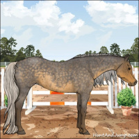 Horse Color:Silver Smoky Blue Roan 