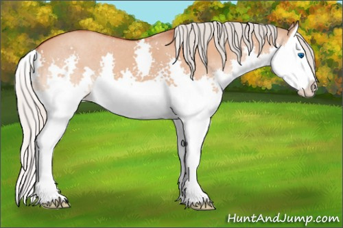 Horse Color:Silver Brown Dun Splash 